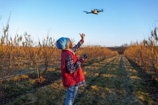 Unleashing the Power of Drones in Agriculture